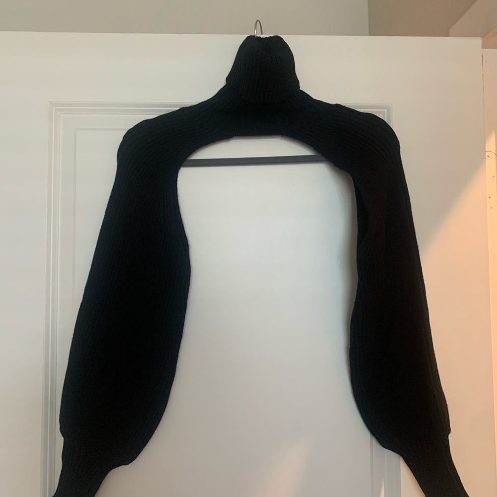 Zara Cut Put Turtleneck